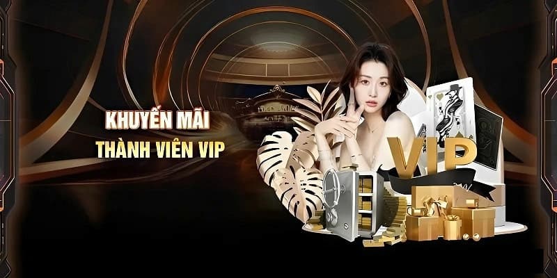 Chương trình VIP Chính sách khuyến mãi độc quyền cho chương trình VIP
